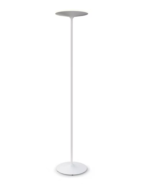 Hi Hat Lampara De Pie Plato Cuarzo 300w Di.36xH.180Cm Blanco Microtexturado
