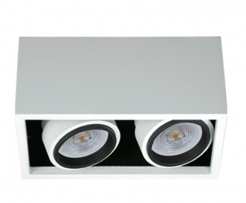 [2512.01] Matrix P Plafon Rectang Movil 2Luces PAR16 GU10 90x165mm Blanco Texturado